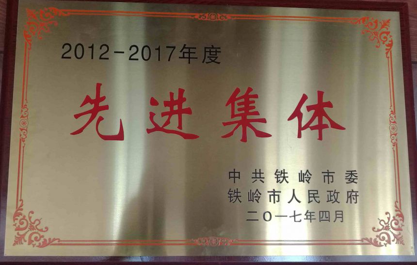 2017鐵嶺市先進(jìn)集體.jpg